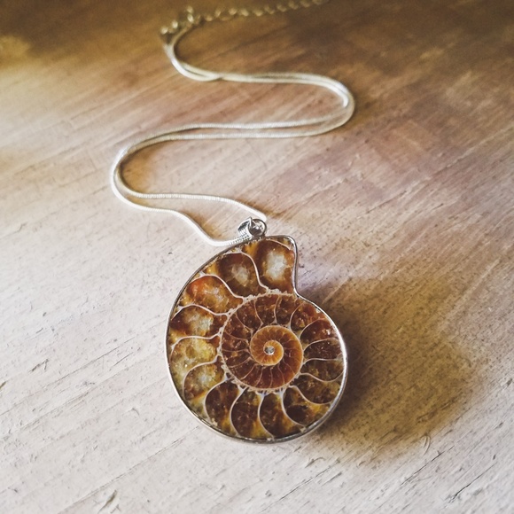 "Regal Revelry"- Silver Ammonite Fossil Necklace - Picture 3 of 6